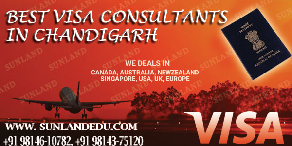 BEST VISA CONSULTANTS IN CHANDIGARH 1 Best Visa Consultants in Chandigarh