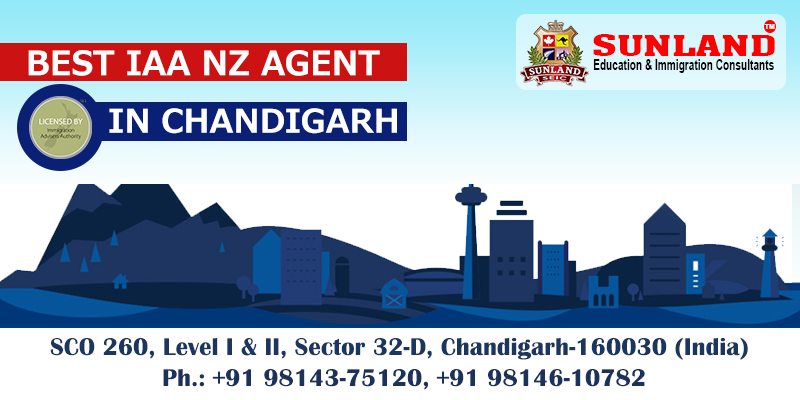 Licensed Immigration Advisor