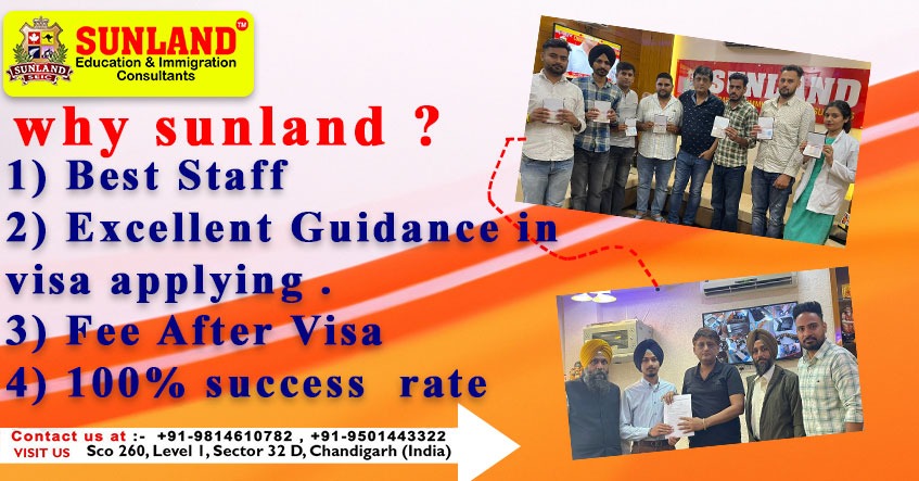 Why Sunland 12 Immigration Consultant