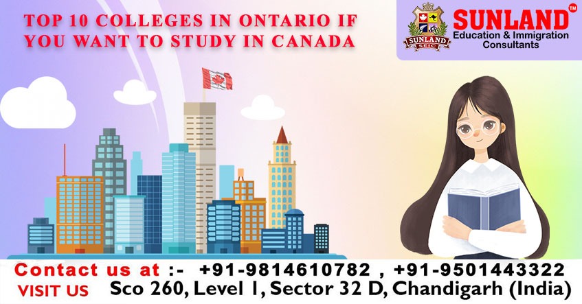 Top 10 Colleges In Ontario