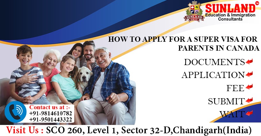 How to Apply for a Super Visa for Parents in Canada 2 Super Visa For Canada