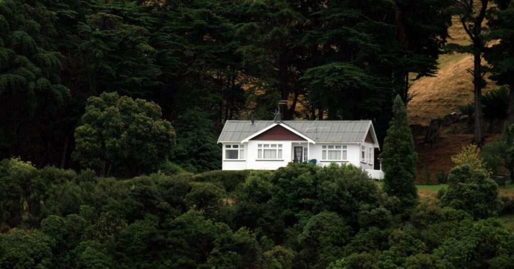 Why More People Are Choosing New Zealand as Their Dream Destination to Settle 3 New Zealand Study Visa Consultant